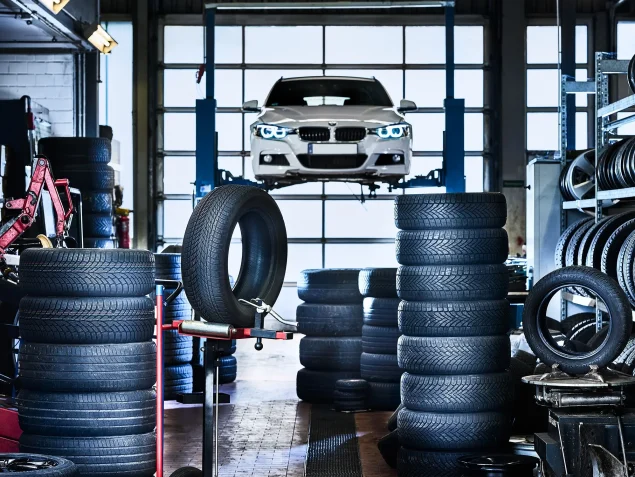rema-motion-service